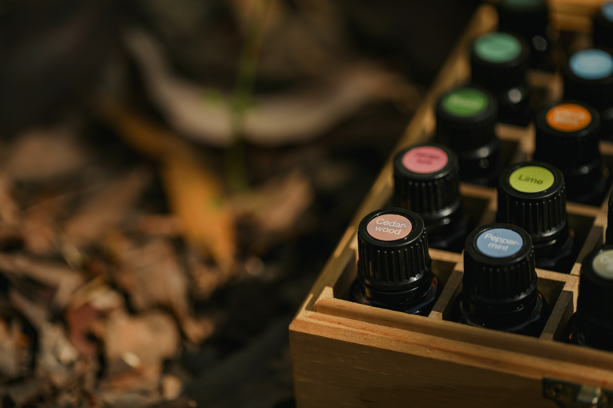 Close-up of Essential Oil Bottles